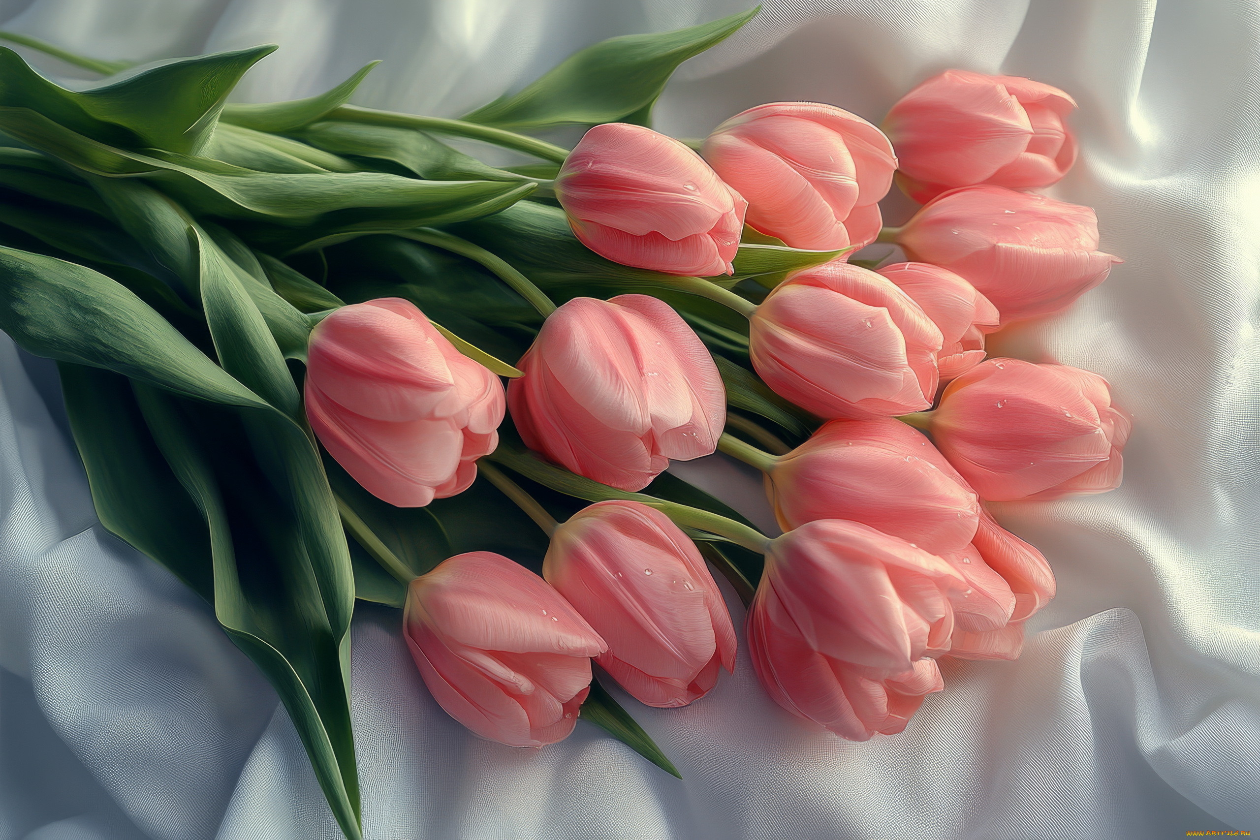 3 ,  , flowers, 